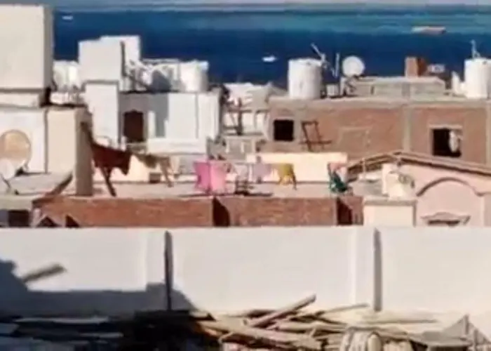 Flat In Sheraton Metro Street Apartment Hurghada